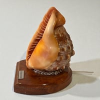 Image 5 of Lampe coquillage vintage Casque rouge sur socle bois Île Maurice 1970 décoration bord de mer 
