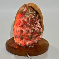 Image 3 of Lampe coquillage vintage Casque rouge sur socle bois Île Maurice 1970 décoration bord de mer 