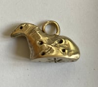 Image 3 of Kelpie with a secret star