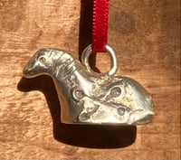 Image 4 of Kelpie with a secret star