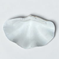 Image 8 of Vide poche en coquillage bénitier ancien Tridacna et pied métal argenté décor de roses 