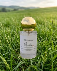 Meadow (Nature Collection)