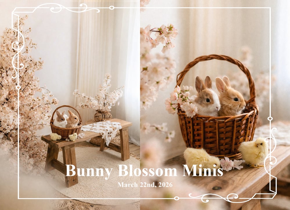 Image of BUNNY BLOOSOM MINIS- 2026- $250