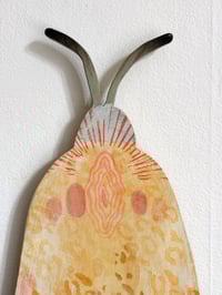 Image 3 of Leopard Moth