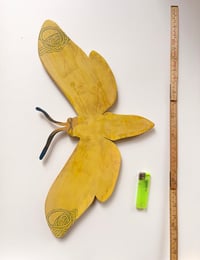 Image 5 of Yellow Bandit Butterfly