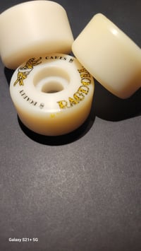 Recycled boardycake ragdolls 103A