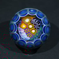 Image 8 of Prism Bloom