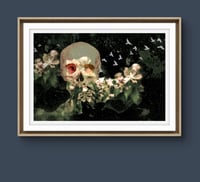 Image 3 of 'Red Eye Watching'