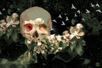 Image 1 of 'Red Eye Watching'