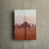 Image 4 of Ombre Rustic forest printed vellum wrap for 5x7 cards PACK of 10