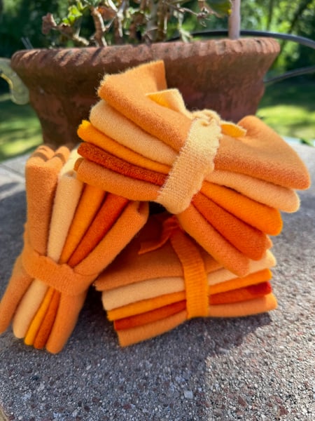 Image of Squash Orange Mix 5 Piece Mini Bundle 