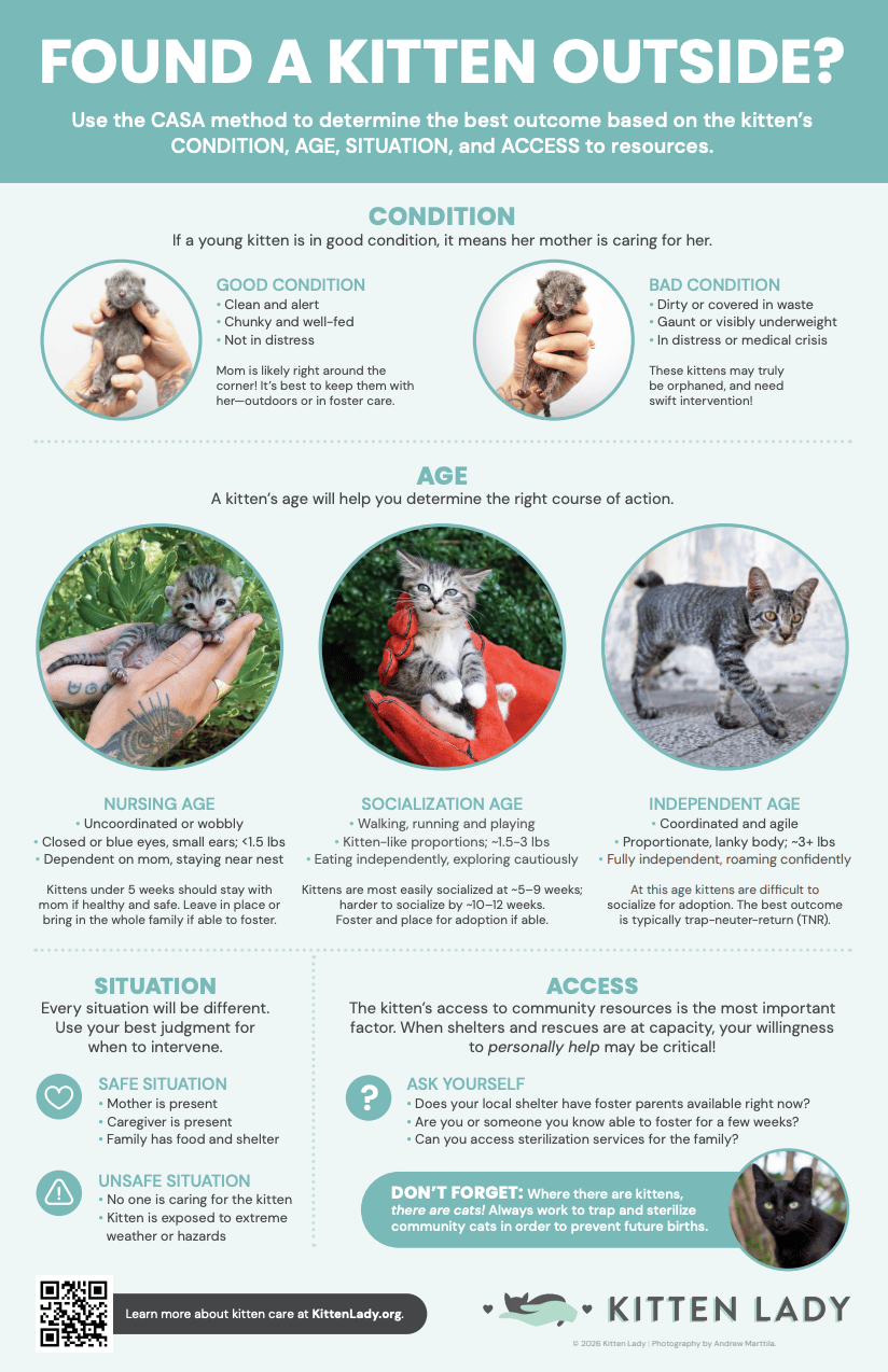 Image of Found a Kitten 11x17 Poster