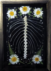 Image 2 of Ribcage and Floral Wall Frame