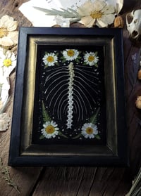 Image 3 of Ribcage and Floral Wall Frame