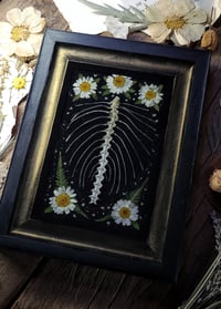 Image 4 of Ribcage and Floral Wall Frame