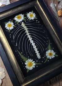 Image 5 of Ribcage and Floral Wall Frame