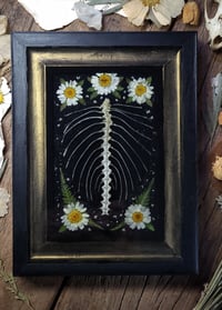 Image 1 of Ribcage and Floral Wall Frame
