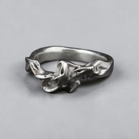 Image 1 of Ring 03: Infold