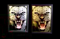 Image 2 of A3 PAIR - a gold and a silver Puma