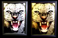 Image 1 of A3 PAIR - a gold and a silver Puma