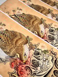 Image 2 of Hawk on Skull 