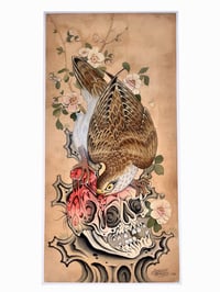 Image 1 of Hawk on Skull 