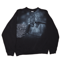 Image 1 of bird sees itself for the first time - L