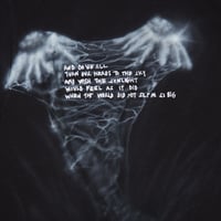 Image 2 of cobweb daisies - L