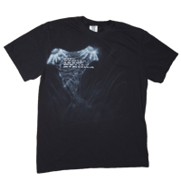 Image 1 of cobweb daisies - L