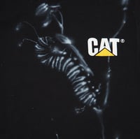 Image 2 of caterpillar - L