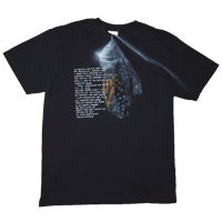 Image 1 of chrysalis - L