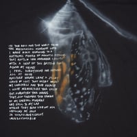 Image 2 of chrysalis - L