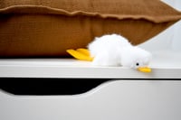 Image 2 of white duckling