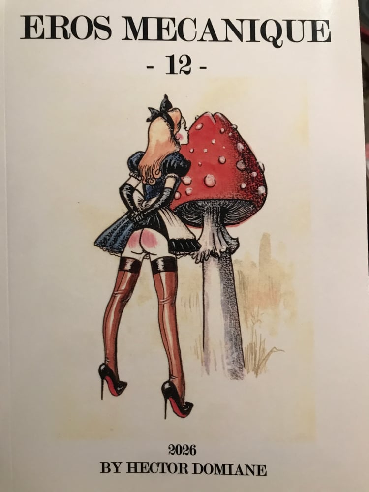 Image of EROS MECANIQUE ZINE  12