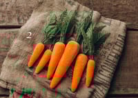 Image 2 of Softy Carrots Set