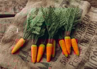 Image 1 of Softy Carrots Set