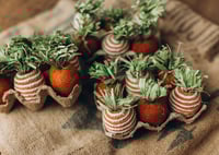 Image 1 of Farm Egg Carton