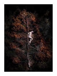 Image 17 of East London Life Drawing: Copy