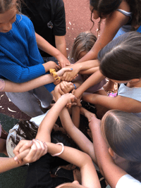 Image 3 of BODY COMPASSION MINDSET COMMUNITY