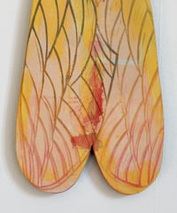 Image 3 of Fire Moth