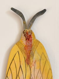 Image 4 of Fire Moth