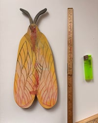 Image 5 of Fire Moth