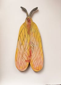 Image 2 of Fire Moth