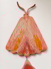 Image 4 of The Treasures inside