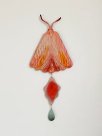 Image 2 of The Treasures inside