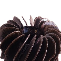 Image 2 of Jodi MUZYLOWSKI | Phénix de Bartolomeu de Dias