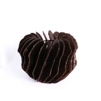 Image 1 of Jodi MUZYLOWSKI | Phénix de Bartolomeu de Dias