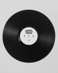 Image 6 of Banadisa - Inumana Canicola Padana (LP)