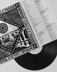 Image 4 of Banadisa - Inumana Canicola Padana (LP)