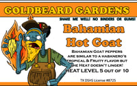 Image 1 of Hot Bahamian Goat Salsa